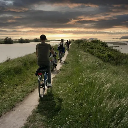 Nonna Rosa * Taglio di Po