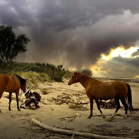 Nonna Rosa شقة Taglio di Po